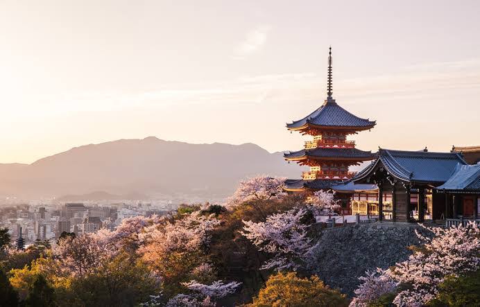  Tips and Trik Belajar Di Negeri Sakura